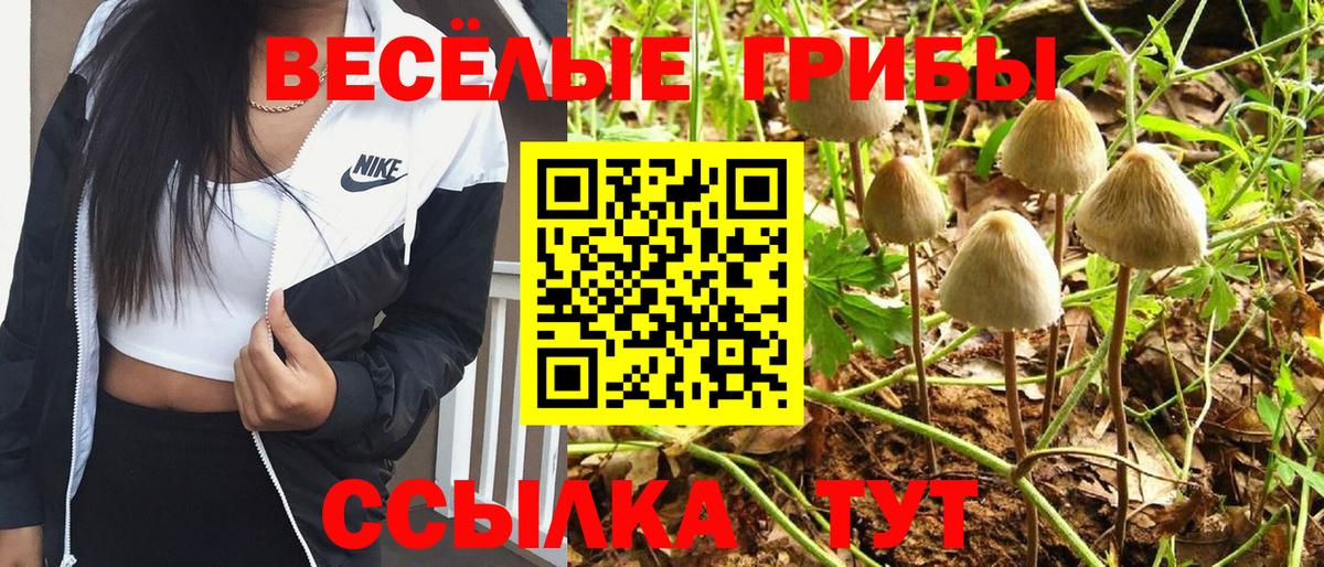 Псилоцибиновые грибы прущие грибы Екатеринбург