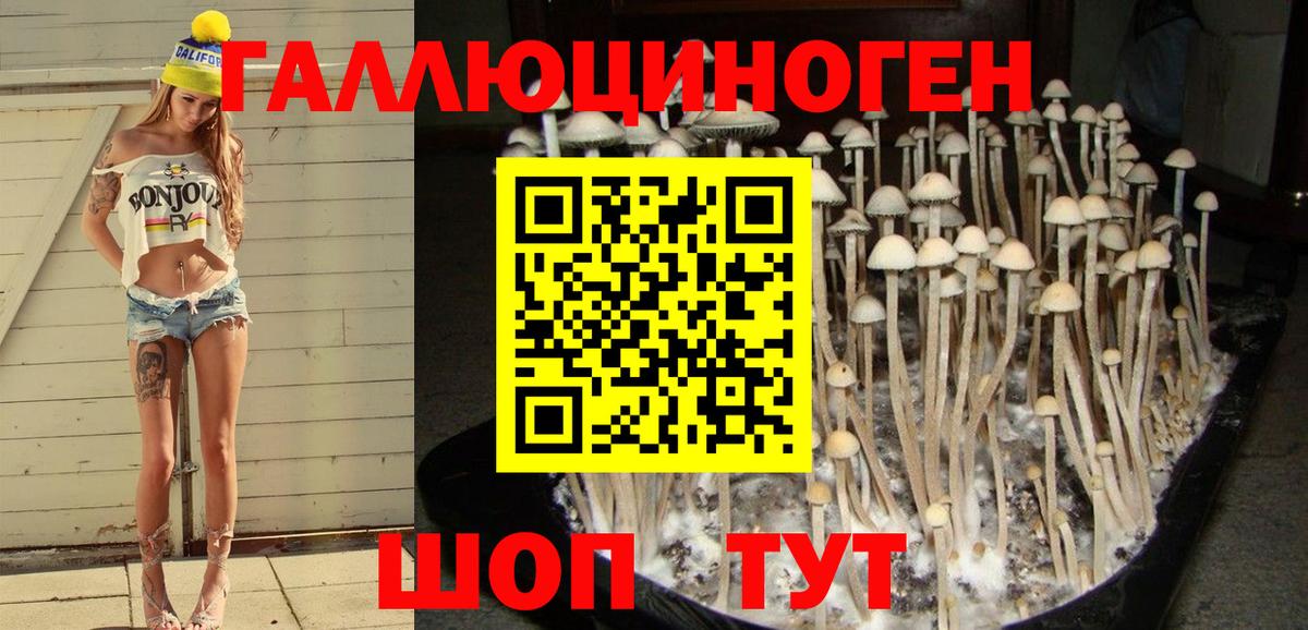 Екатеринбург  Псилоцибиновые грибы мухоморы  Псилоцибиновые грибы MAGIC MUSHROOMS  Вход с VPN 